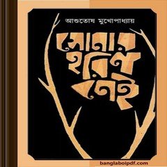 Sonar Horin Nei- Ashutosh Mukhopadhyay ebook