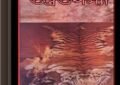 Tarapranob Brahmachari ebook